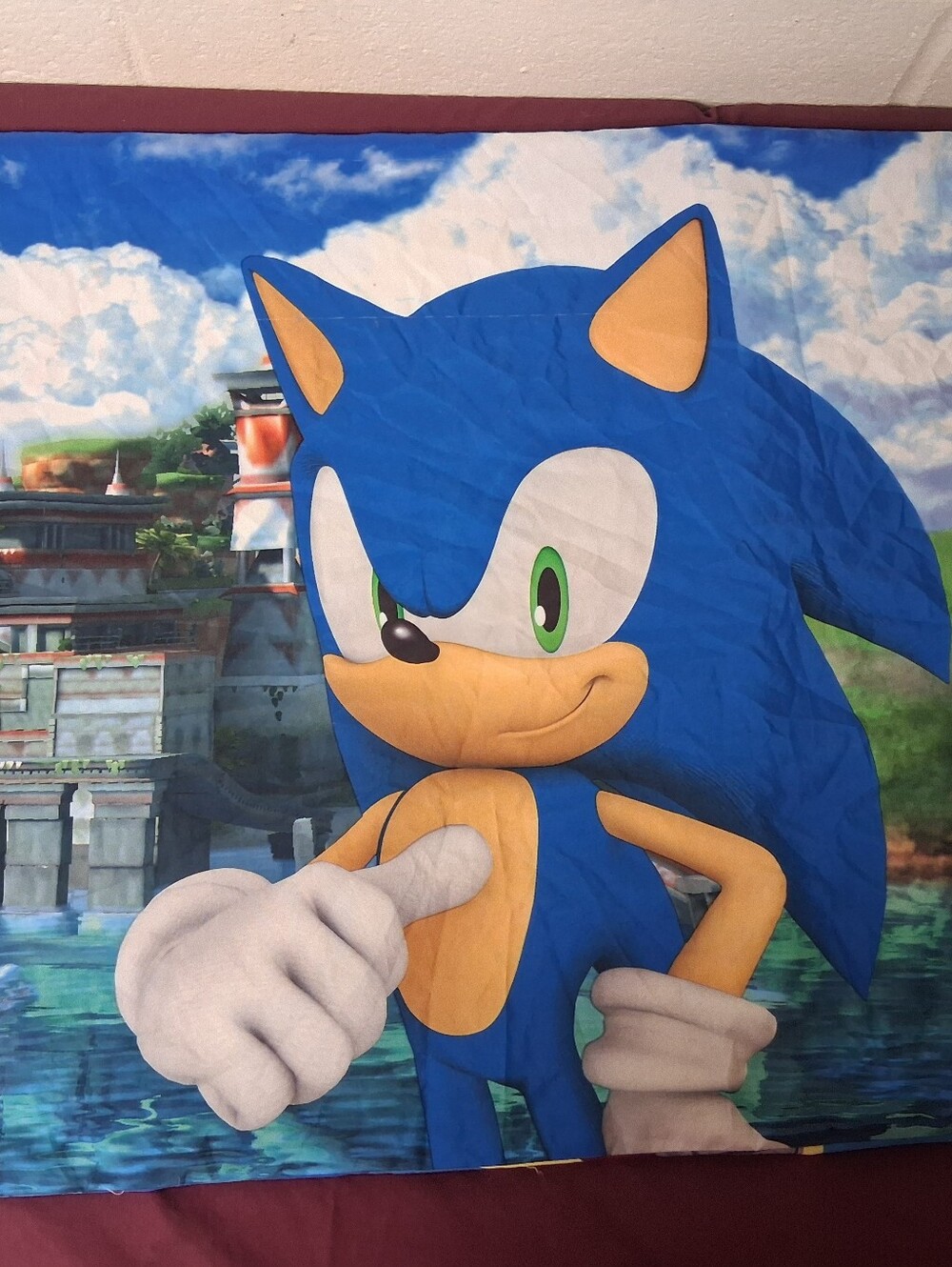 Sonic The Hedgehog 2 Sided Standard Size Pillowcase. - Picture 4 of 7